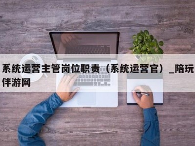 系统运营主管岗位职责（系统运营官）_陪玩伴游网